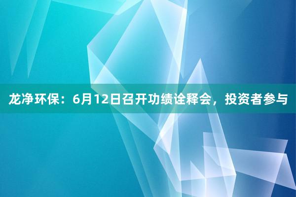 龙净环保：6月12日召开功绩诠释会，投资者参与