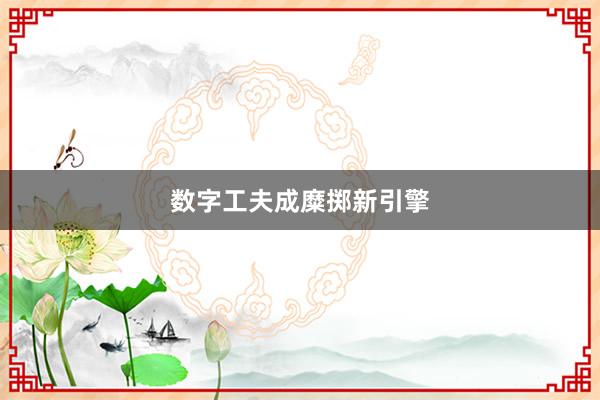 数字工夫成糜掷新引擎