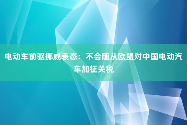 电动车前驱挪威表态：不会随从欧盟对中国电动汽车加征关税