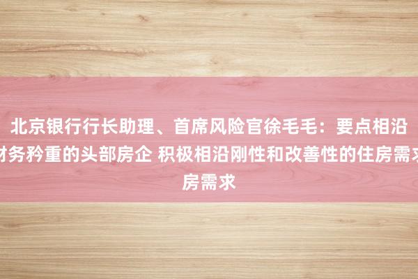 北京银行行长助理、首席风险官徐毛毛：要点相沿财务矜重的头部房企 积极相沿刚性和改善性的住房需求