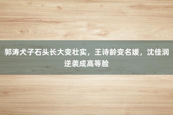 郭涛犬子石头长大变壮实，王诗龄变名媛，沈佳润逆袭成高等脸