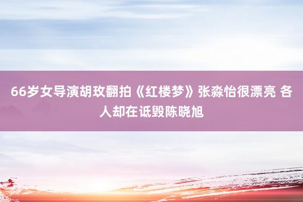 66岁女导演胡玫翻拍《红楼梦》张淼怡很漂亮 各人却在诋毁陈晓旭