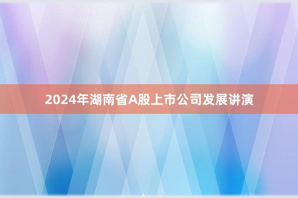 2024年湖南省A股上市公司发展讲演