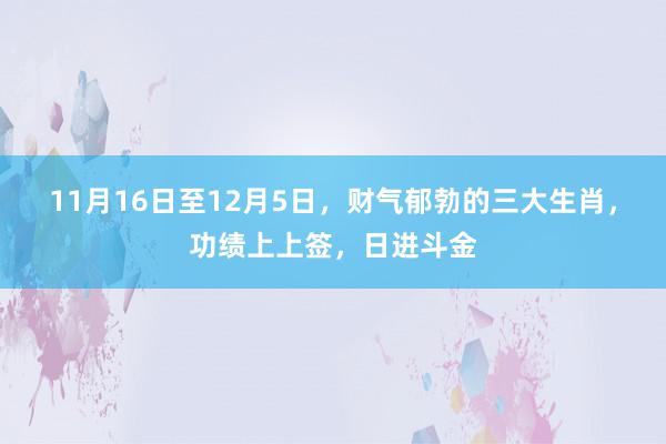 11月16日至12月5日，财气郁勃的三大生肖，功绩上上签，日进斗金